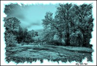 /album/fotogaleria-fotos-b-n/f-5-inpixio-inpixio-640x480-jpg/